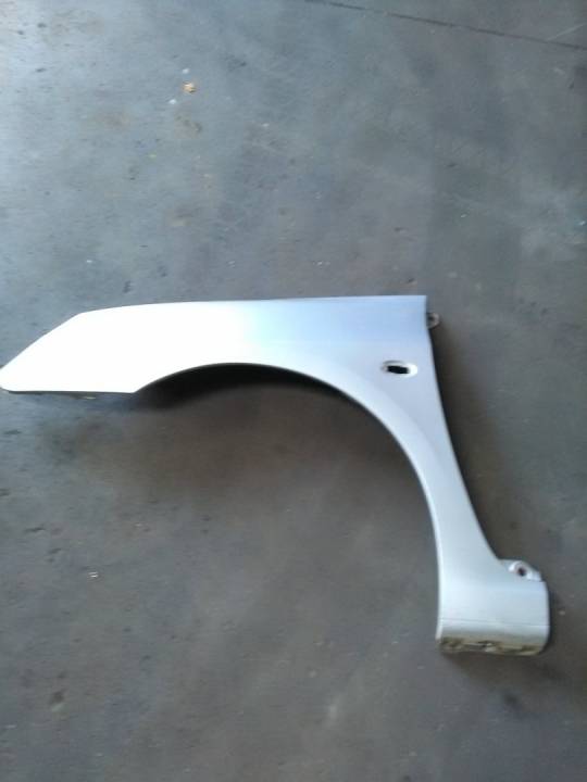 Levý přední blatník - PEUGEOT - 307 (3A/C)