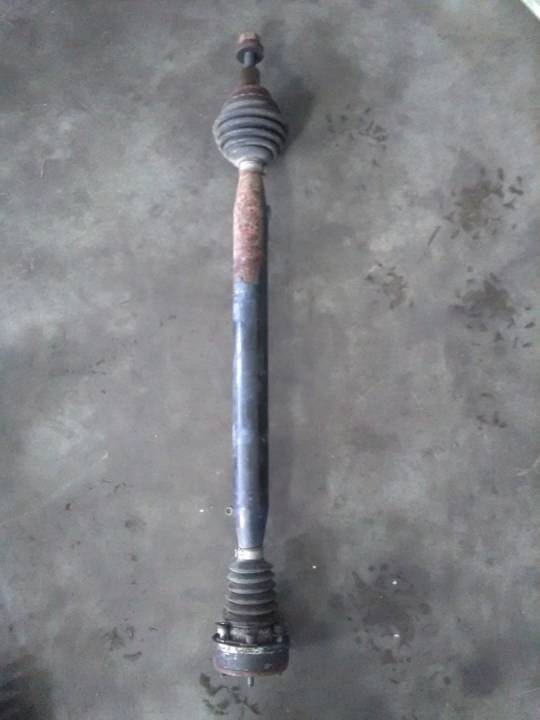 Poloosa - VOLKSWAGEN - GOLF V (1K1)