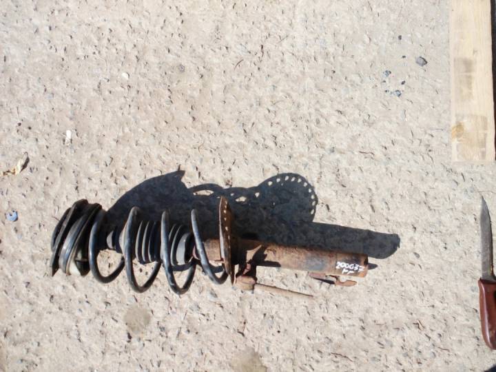 Tlumič s pružinou přední - RENAULT - MEGANE II (BM0/1_, CM0/1_)