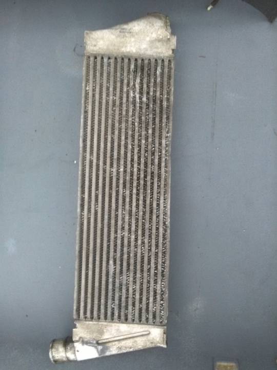 Intercooler - RENAULT - MEGANE II (BM0/1_, CM0/1_)