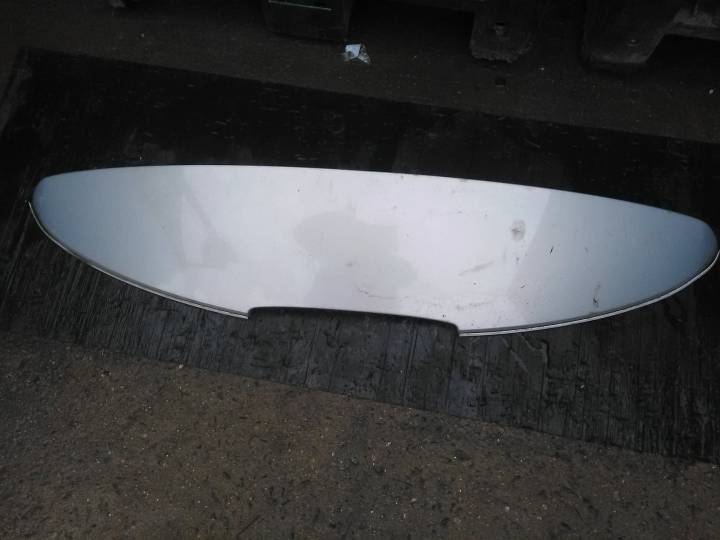 Spojler kufru - RENAULT - MEGANE II (BM0/1_, CM0/1_)