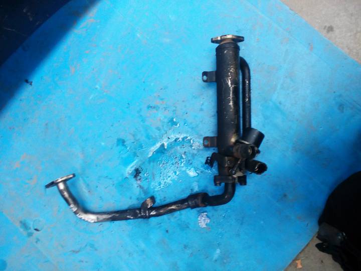 Chlazení EGR - VOLKSWAGEN - PASSAT combi (3A5, 35I)